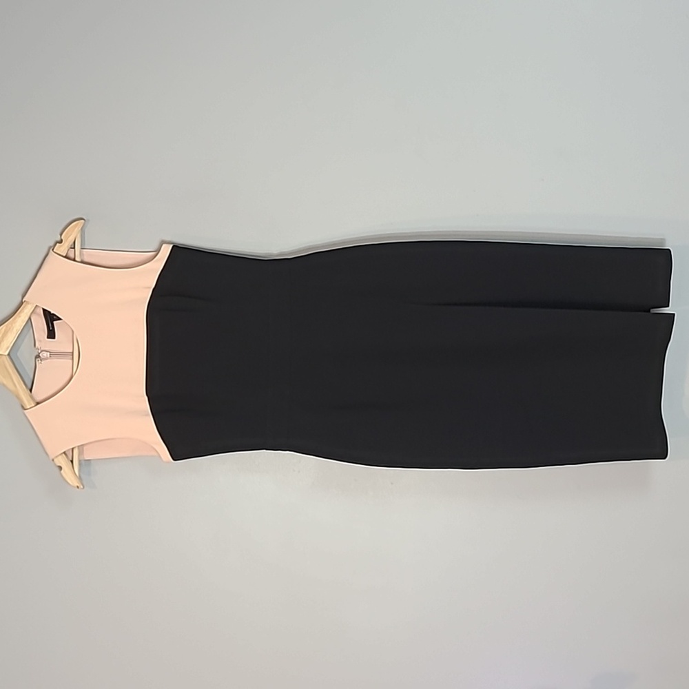 BCBGMaxAzria Black and Blush Sheath Dress